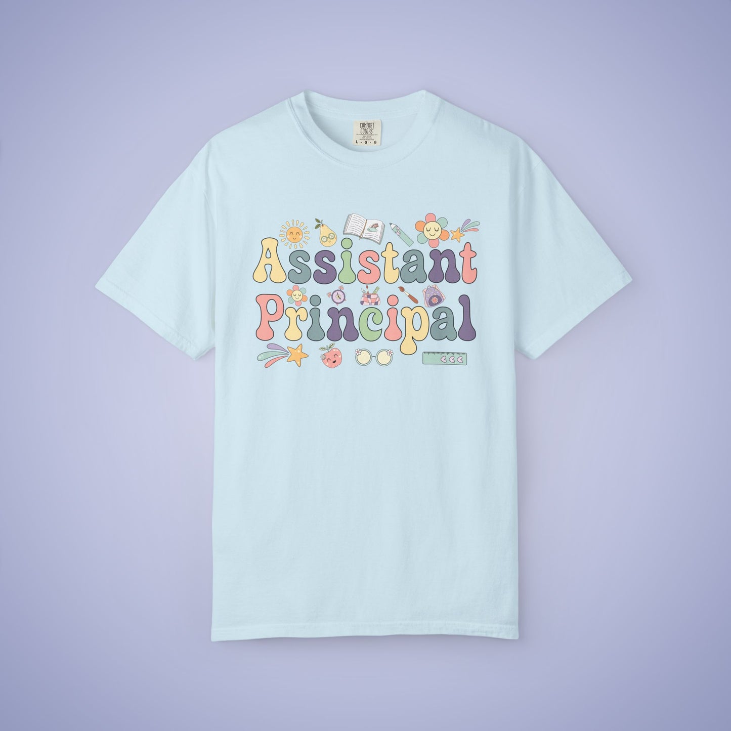 Assistant Principal Teacher T Shirt Retro Comfort Colors Unisex Back to School