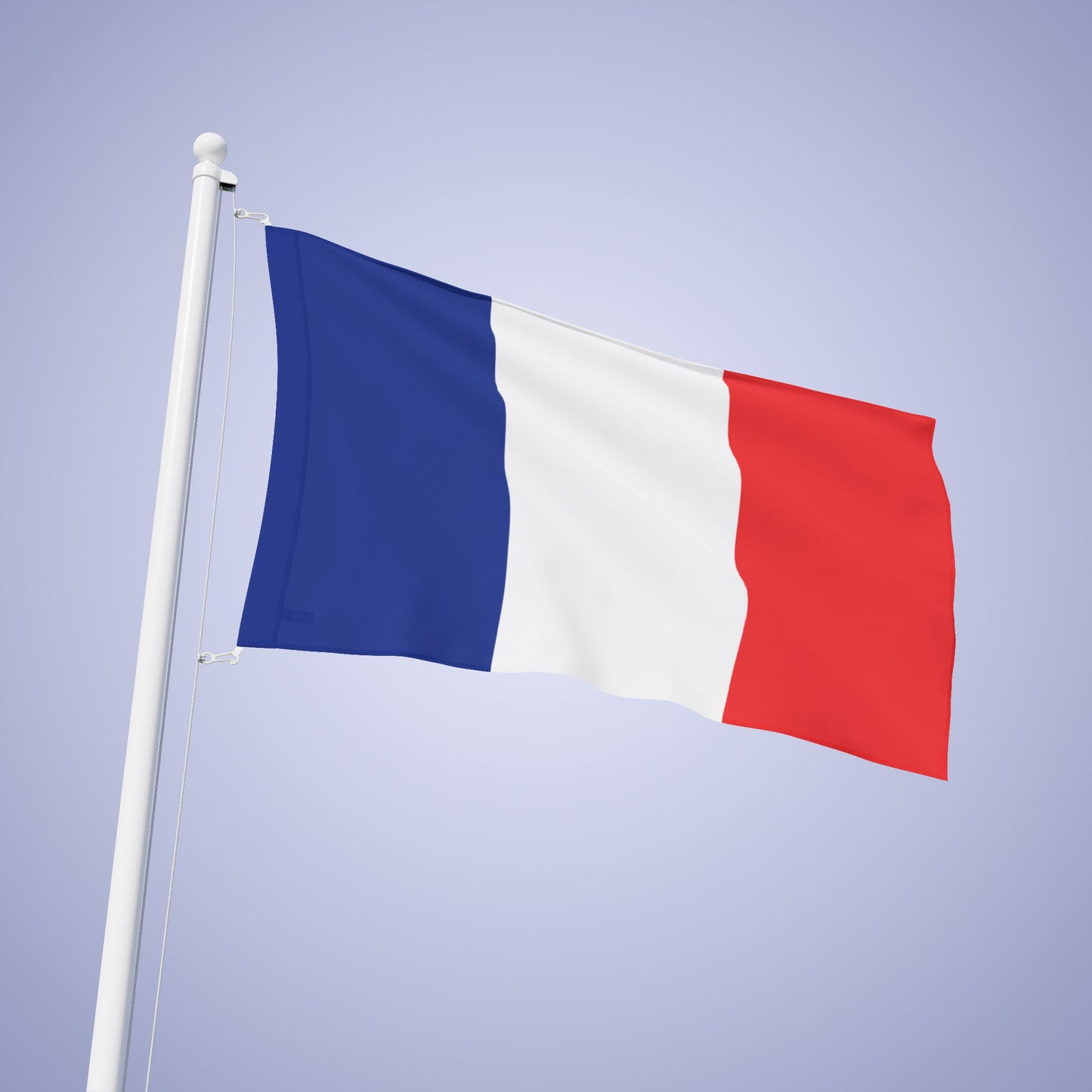 France Flag Banner Small Medium & Large