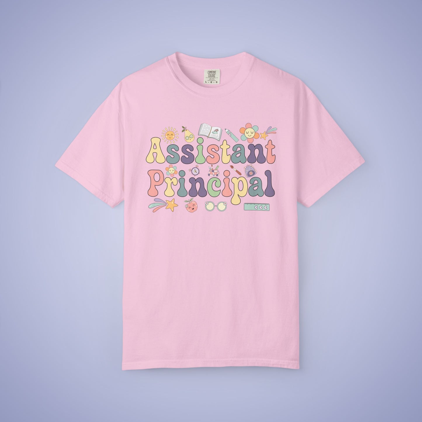 Assistant Principal Teacher T Shirt Retro Comfort Colors Unisex Back to School