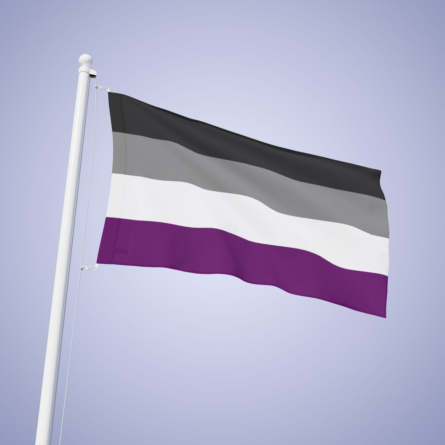 Asexual Pride Month Flag Banner Small Medium & Large
