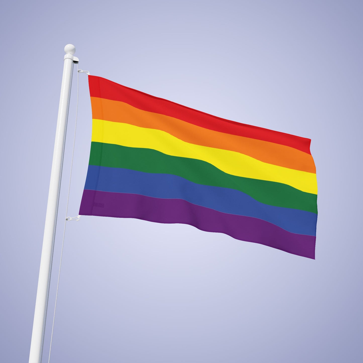 Lgbt Pride Month Flag Banner Small Medium & Large