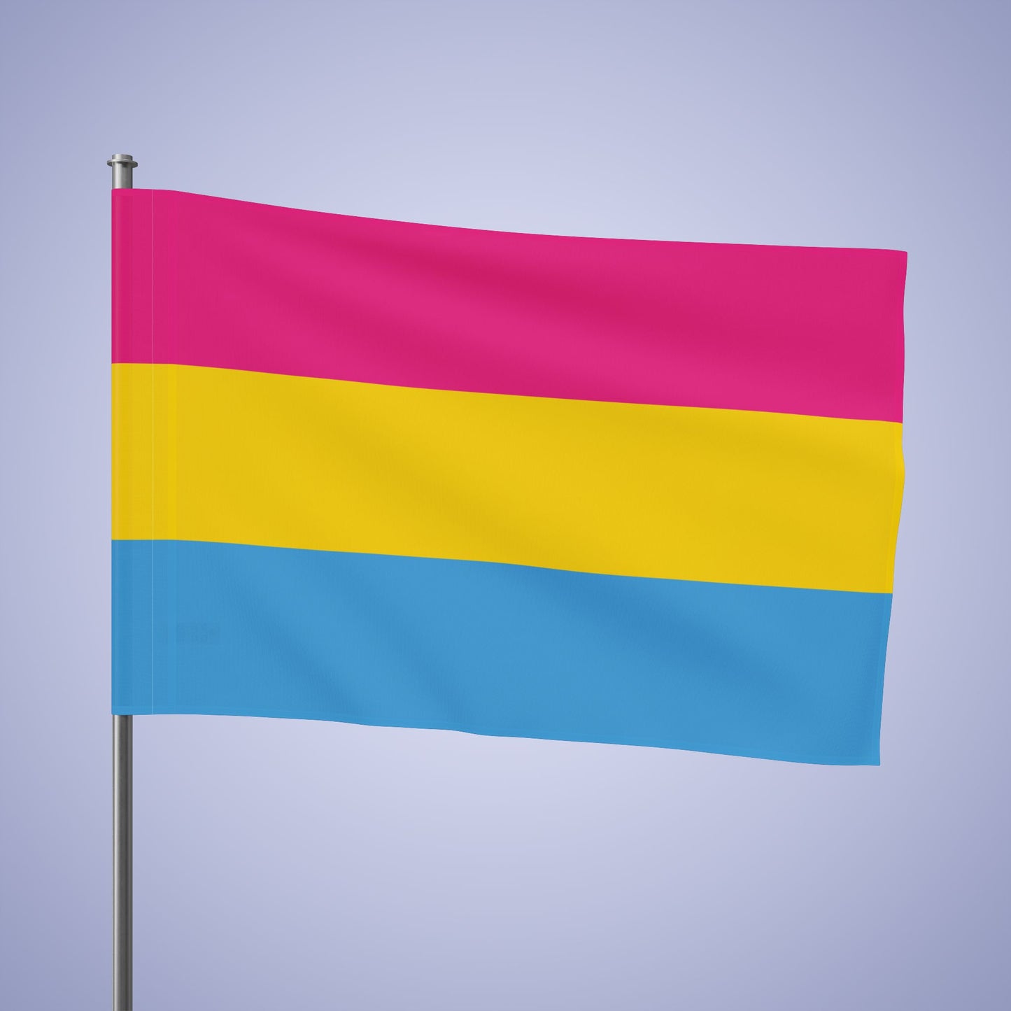 Pansexual Pride Month Flag Banner Small Medium & Large