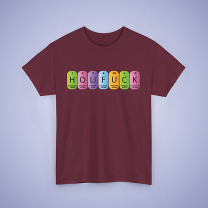 Holi Fuck Unisex T Shirt