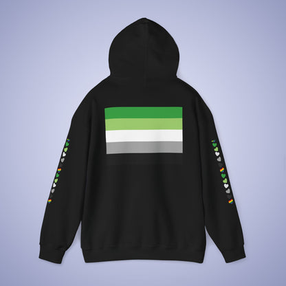 Aromantic Pride Month Unisex Hoodie