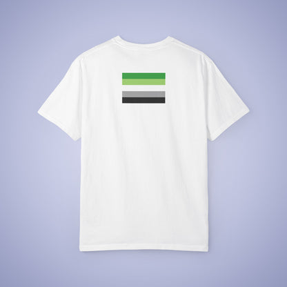 Friendship is My Love Story Aromantic LGBT Pride Month Comfort Colors T Shirt Unisex