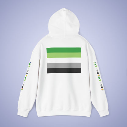 Aromantic Pride Month Unisex Hoodie