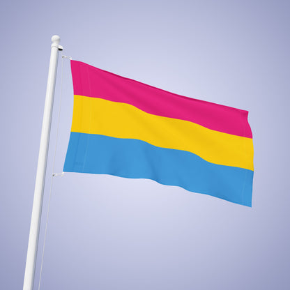 Pansexual Pride Month Flag Banner Small Medium & Large