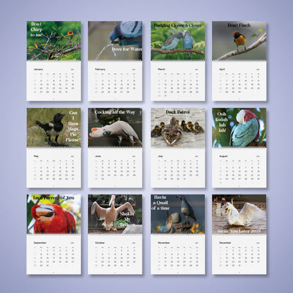 Bird Lovers Wall Calendar 2025