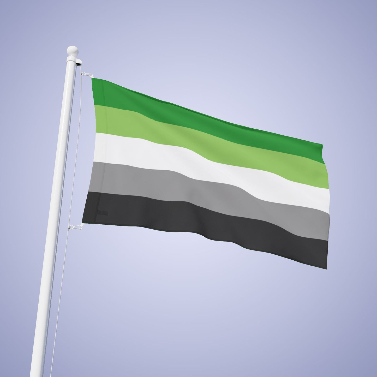 Aromantic Pride Month Flag Banner Small Medium & Large