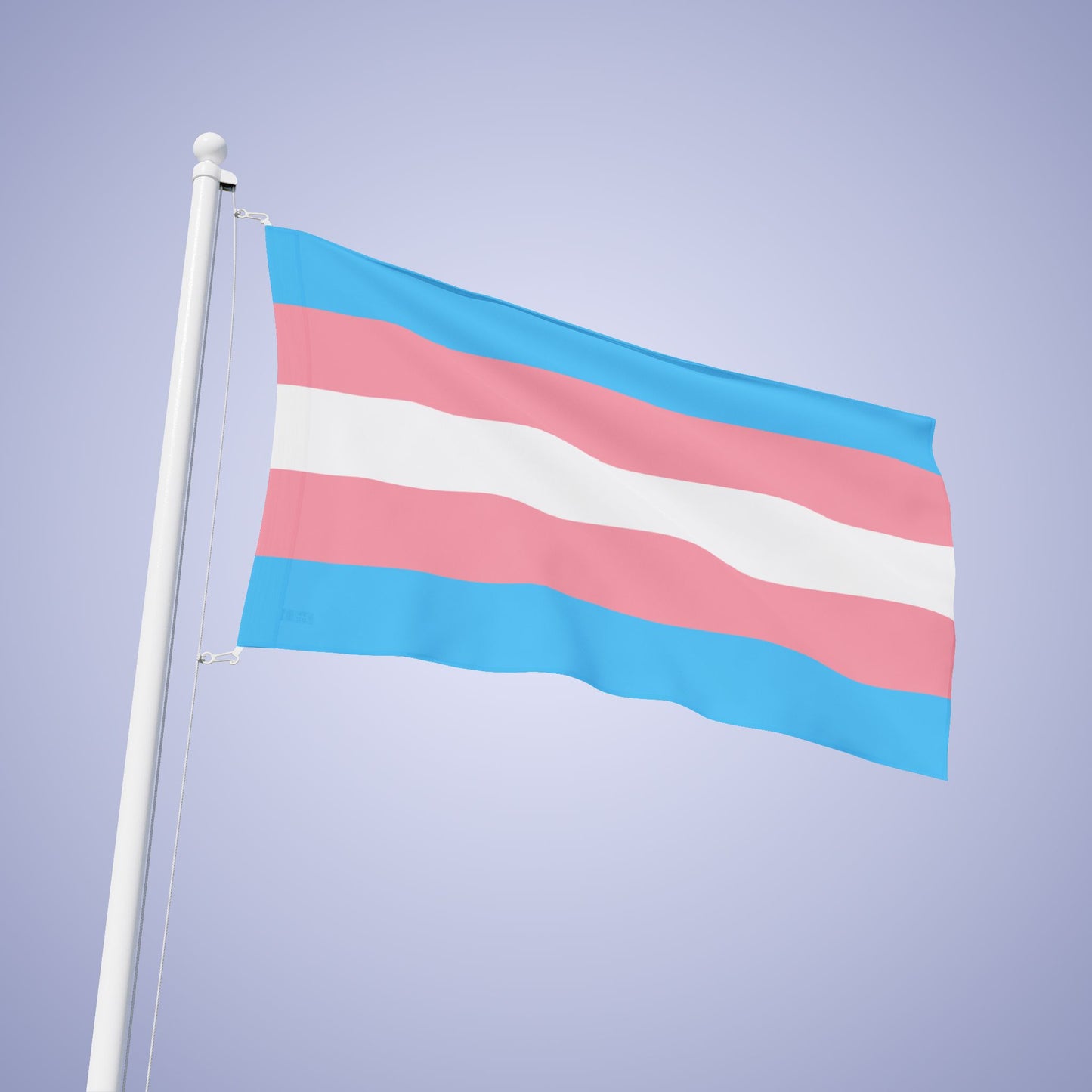 Transexual Pride Month Flag Banner Small Medium & Large