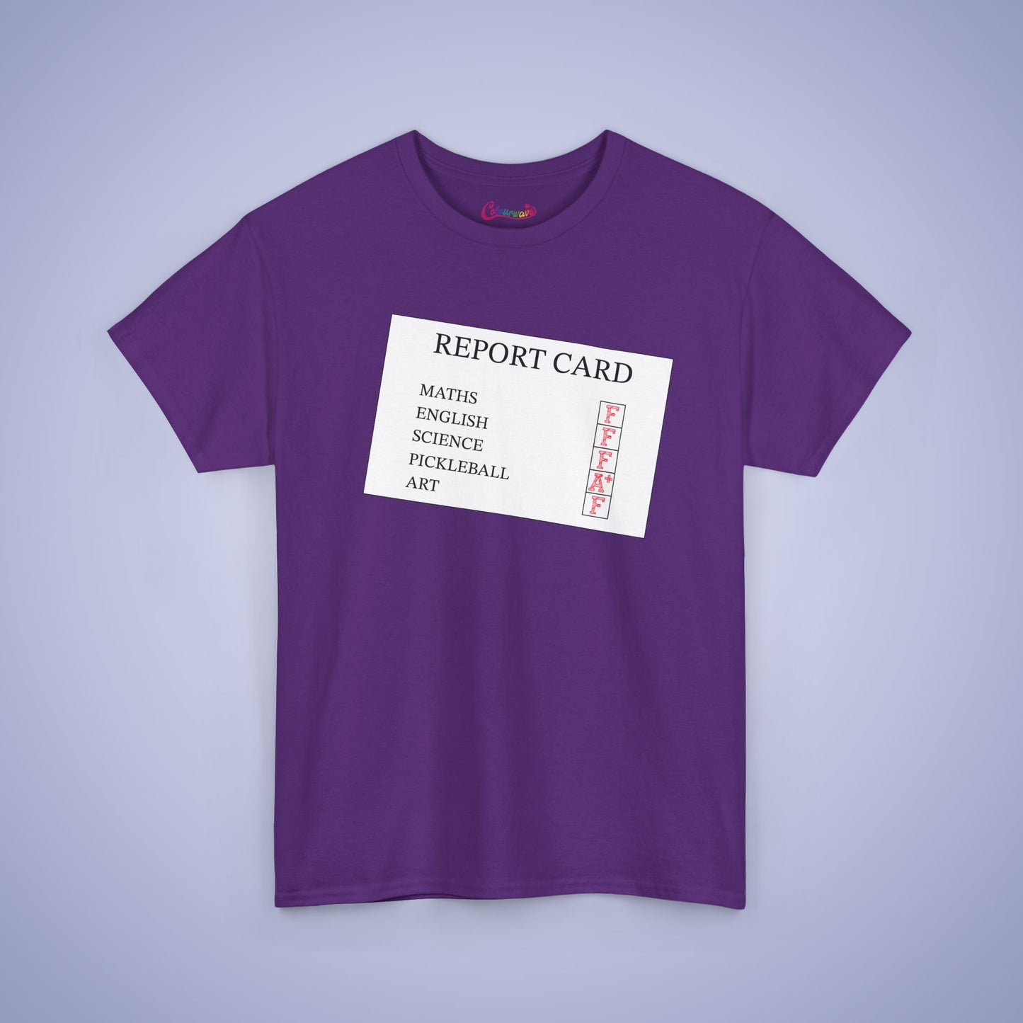 Report Card Funny Teacher Student Pickleball Lover Gift Tee Graphic Design T Shirt