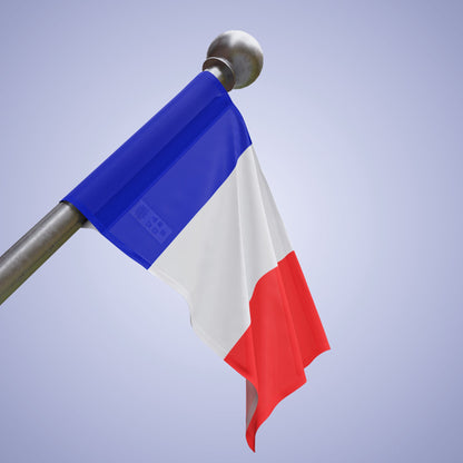 France Flag