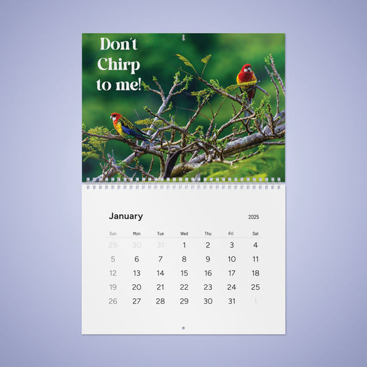 Bird Lovers Wall Calendar 2025
