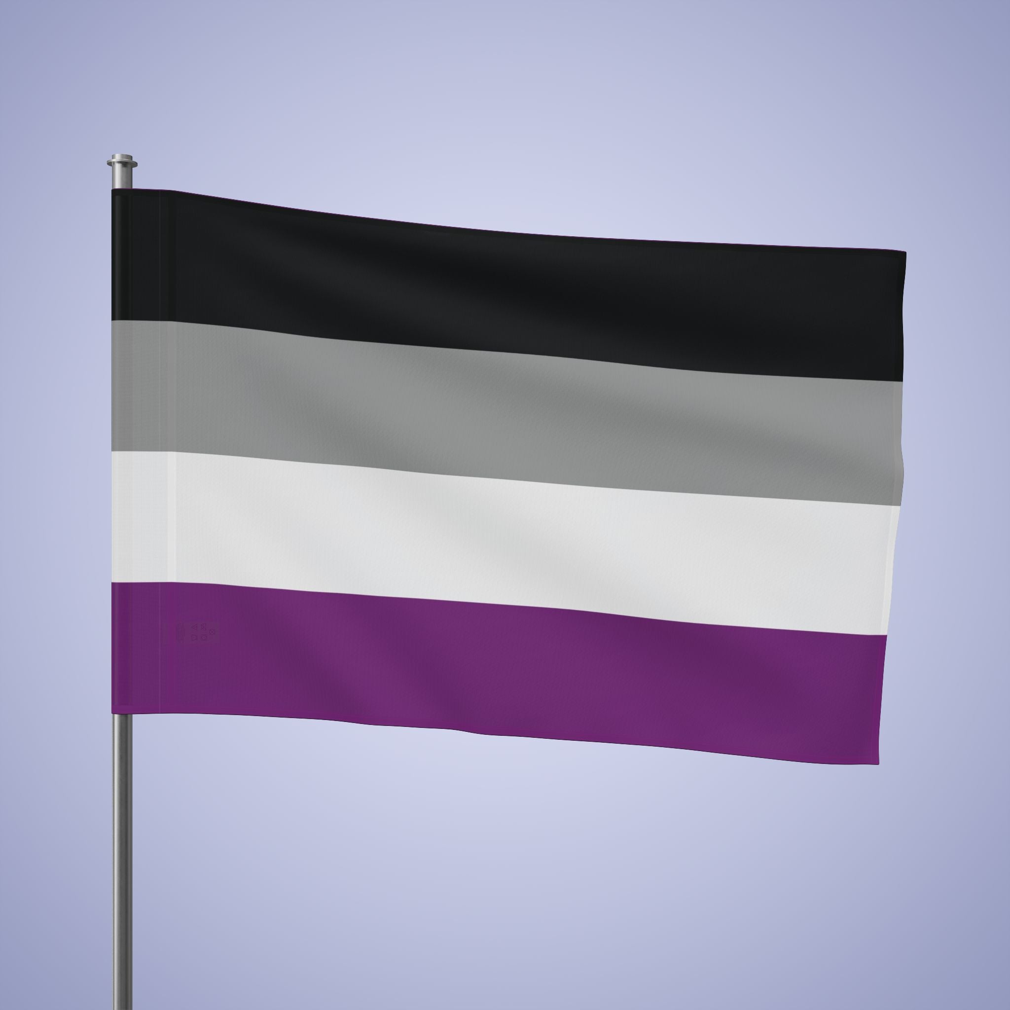 Asexual Pride Month Flag Banner Small Medium & Large