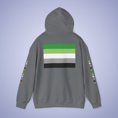 Aromantic Pride Month Unisex Hoodie