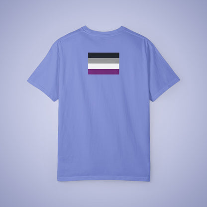 No Shame in No Desire Asexual LGBT Pride Month Comfort Colors T Shirt Unisex
