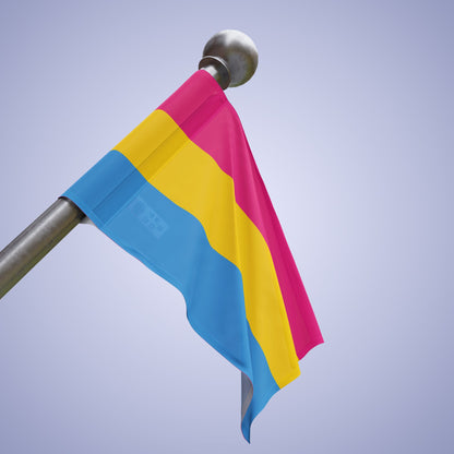 Pansexual Pride Month Flag Banner Small Medium & Large