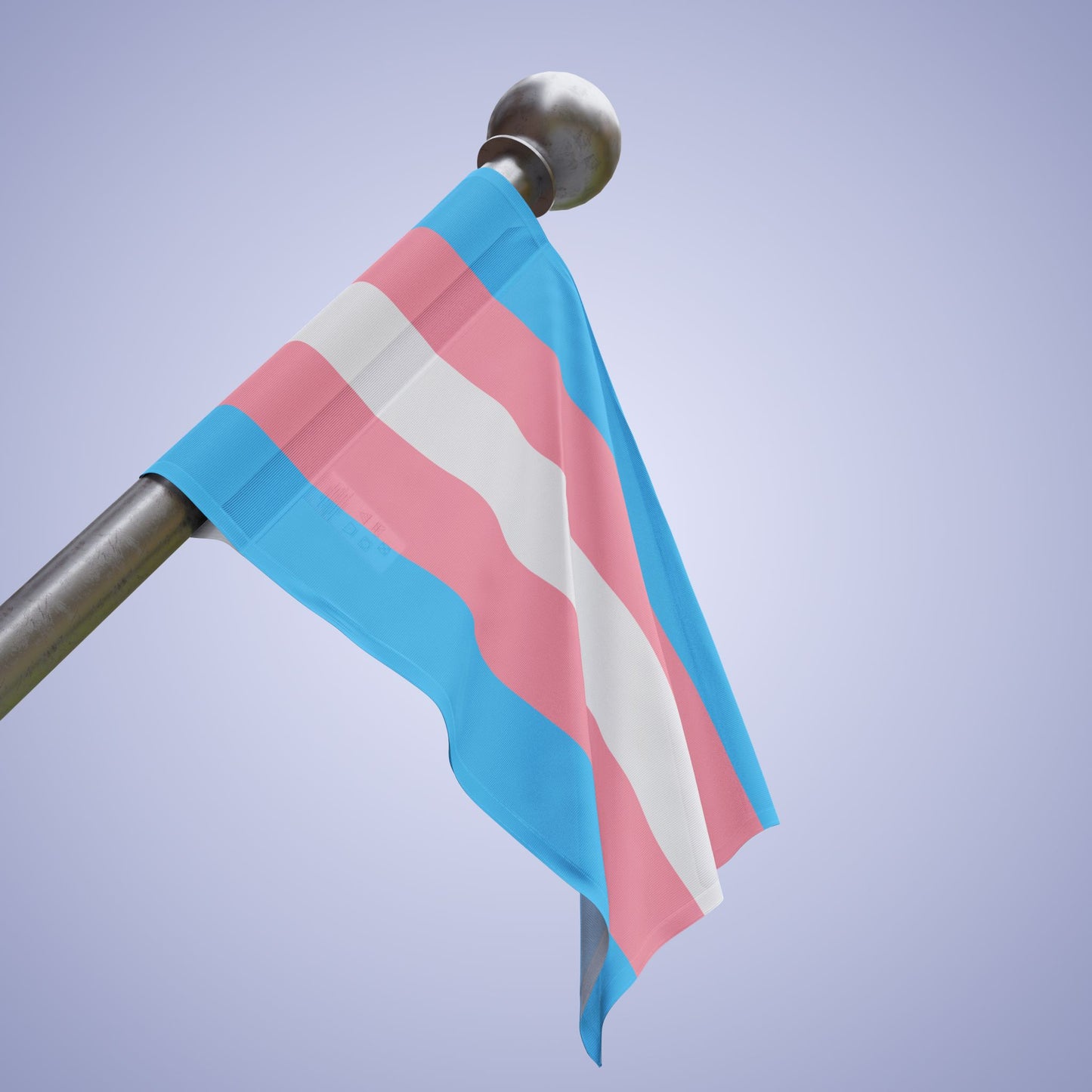 Transexual Pride Month Flag Banner Small Medium & Large