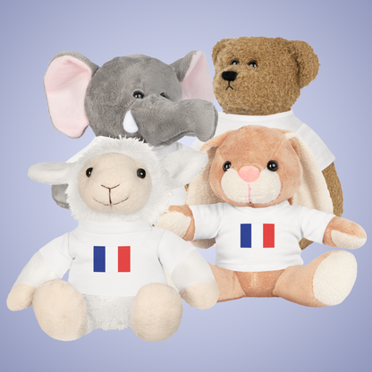 France Flag Teddy Keepsake Choose Yours