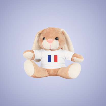 France Flag Teddy Keepsake Choose Yours