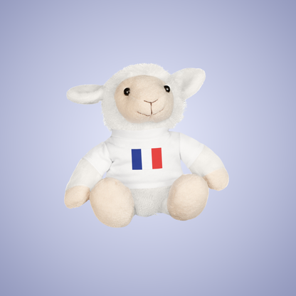 France Flag Teddy Keepsake Choose Yours