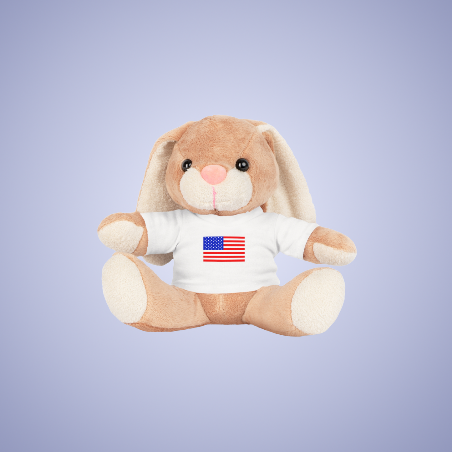 United States of America Flag Teddy Keepsake Choose Yours