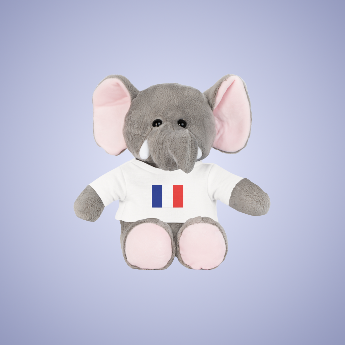 France Flag Teddy Keepsake Choose Yours