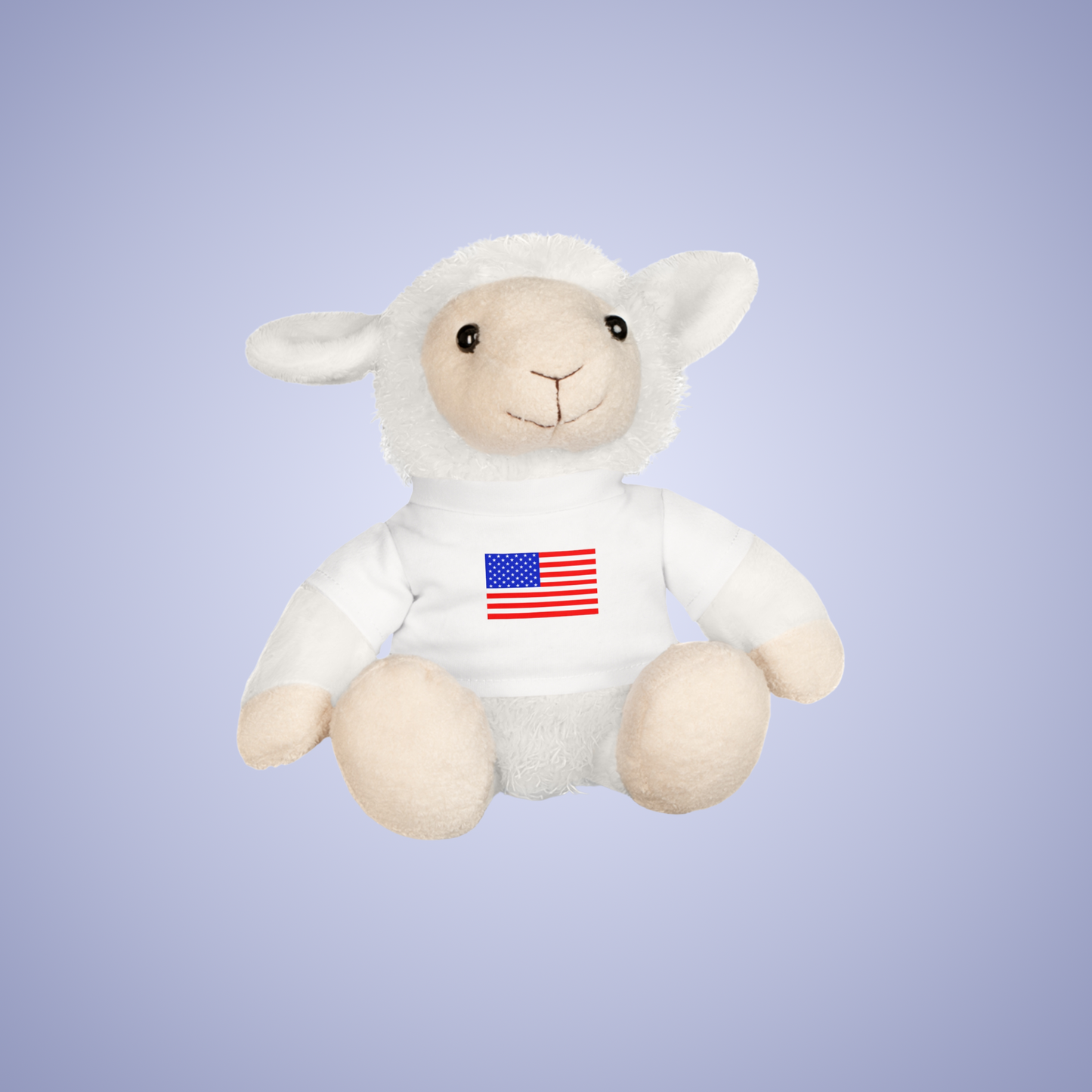 United States of America Flag Teddy Keepsake Choose Yours