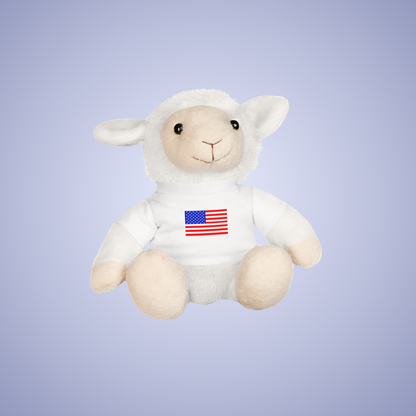 United States of America Flag Teddy Keepsake Choose Yours